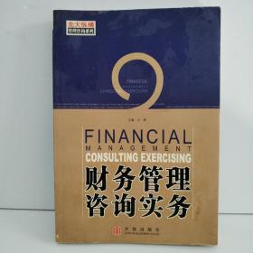 財務(wù)管理咨詢實務(wù)與財務(wù)咨詢 從理論到實踐的深度解析